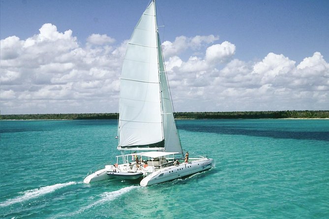 Saona Island Excursion by Catamaran and Speedboat - Key points to know before booking
