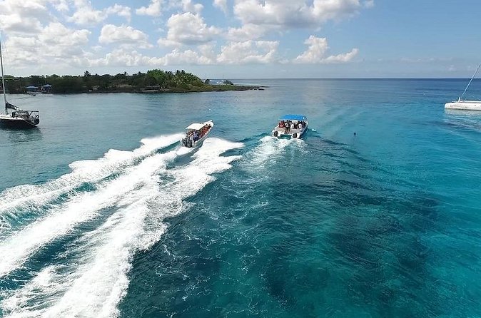 Saona Island Excursion by Catamaran and Speedboat - The most common frustrations to plan around