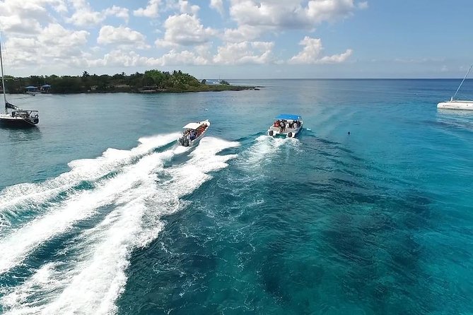 Saona Island Excursion by Catamaran and Speedboat - Who will enjoy this excursion most