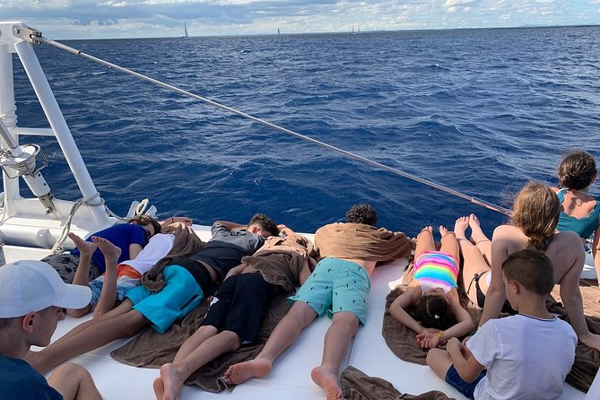 Saona Island Excursion by Catamaran and Speedboat (Full Day) - Saona Island by catamaran and speedboat