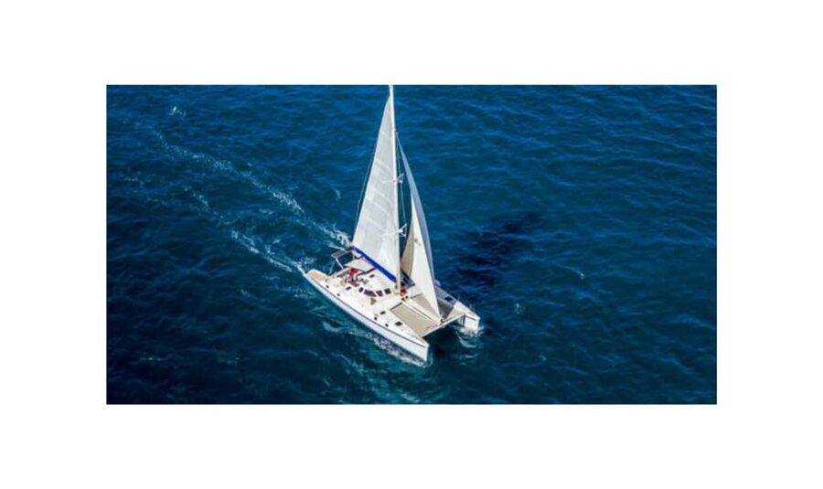 Saona Island From Santo Domingo With Catamaran, Food & Drink - The Blue Lagoon and its short natural-pool stop