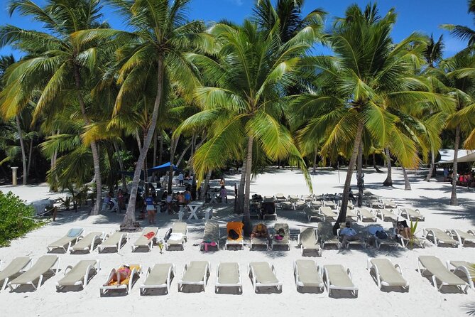 Saona Island: Full-day Catamaran Tour - Small Group - Key points to know before booking