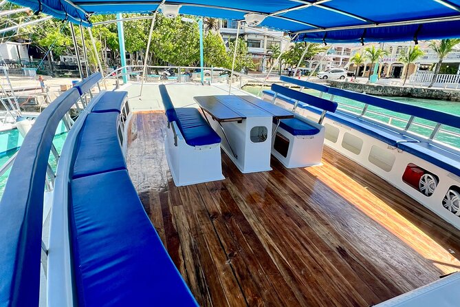 Saona Island: Full-day Catamaran Tour - Small Group - Lunch, snacks, and what the price covers
