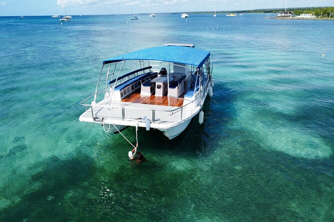 Saona Island: Full-day Catamaran Tour - Small Group - Weather, group size, and comfort