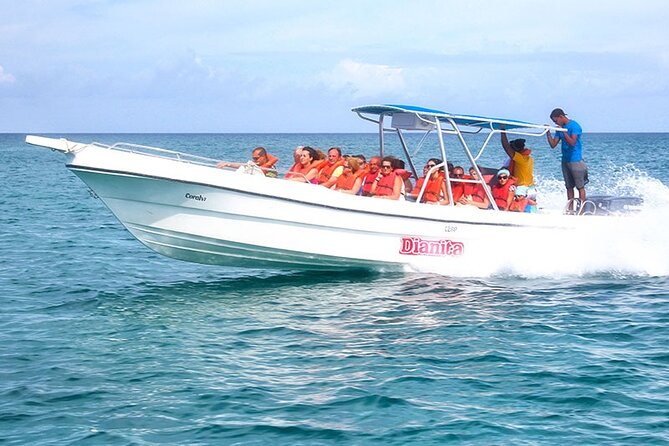 Saona Island Full Day Excursion from Punta Cana + Catamaran Party - Communication and language matter