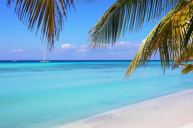 Saona island full day tours - catamarán party from santo domingo - What the included drinks really mean