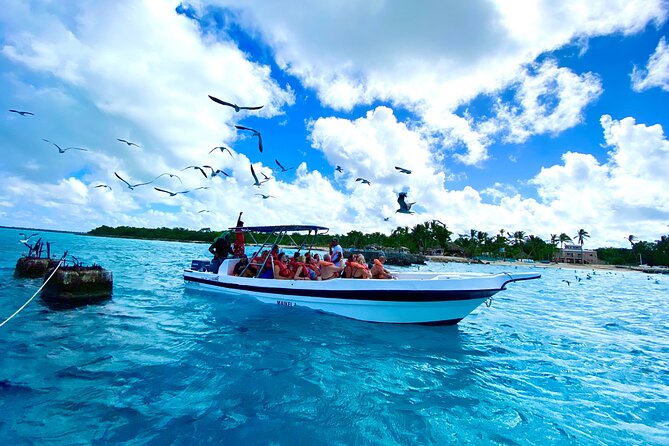 Saona Island, Natural pool Starfish, Fast boat, Catamaran +Dances - Fast boat to the island