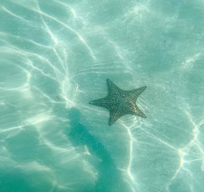 Saona Island Tour All Inclusive Speedboat and Catamaran - What $70 really covers