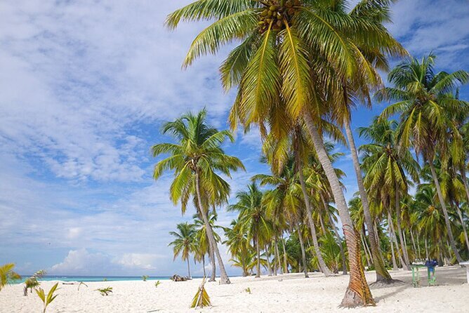 Saona Island Tour and Catamaran Party from Punta Cana - The catamaran party on the return