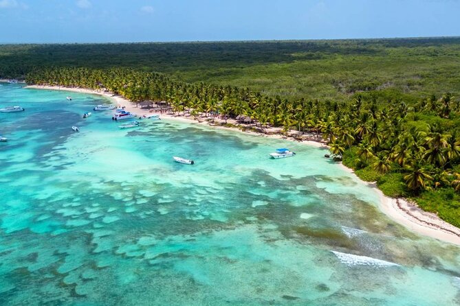 Saona Island Tour and Catamaran Party from Punta Cana - Group size and the 50-person question