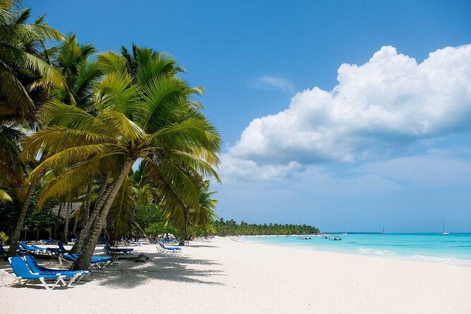 Saône Island from Punta Cana Catamaran, Natural Pool and Lunch - The Saona day starts with a long run to Bayahibe