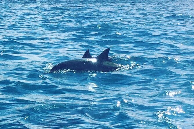 Set Sail on an All Inclusive Catamaran to Ile Aux Benitiers - Final decision: a relaxed lagoon day with one timing warning