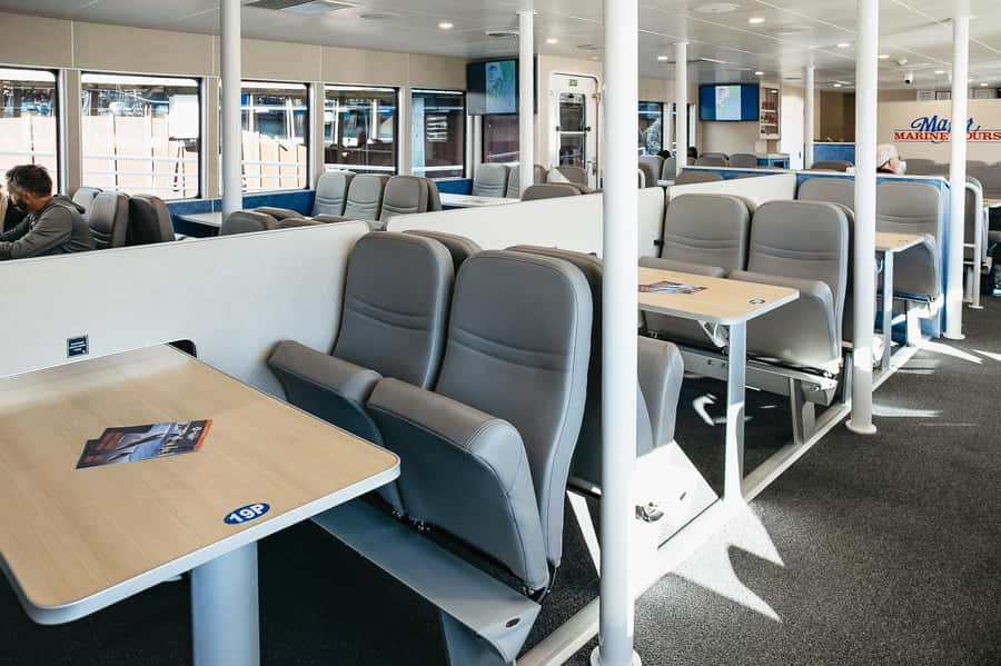 Seward: Kenai Fjords National Park Catamaran Cruise w/Lunch - How rough is the ride?