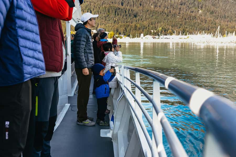 Seward: Kenai Fjords National Park Catamaran Cruise w/Lunch - The value of $265