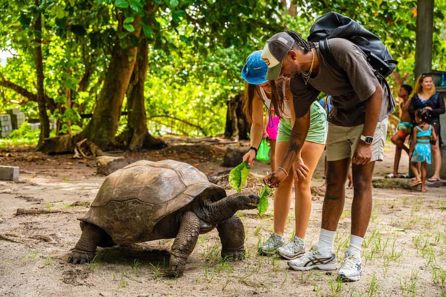 Seychelles: St Pierre and Curieuse Catamaran Tour with Lunch - Anse Georgette adds a beautiful final beach stop
