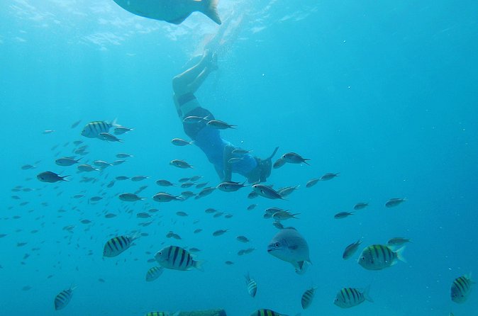Shasa Catamaran Cruises Limited Numbers 3 Hour Sail and Snorkel - Unlimited drinks, but no breakfast