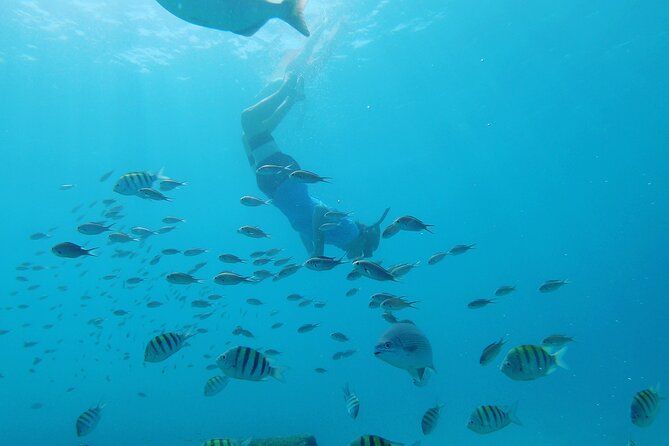Shasa Catamaran Cruises Limited Numbers 3 Hour Sail and Snorkel - Sailing the west coast with Jason and Keon