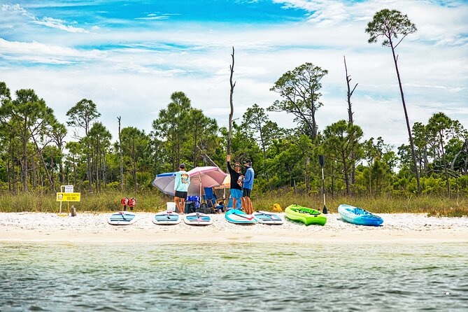 Shell Island Inflatable Adventure Park & Dolphin Sightseeing Tour - What the Shell Island trip is really like