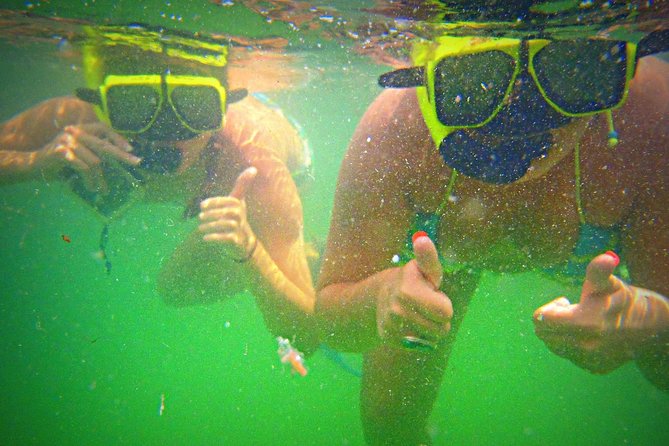 Shell Island Snorkel and Dolphin Catamaran Cruise with Island Time - Drinks, music, and the social side