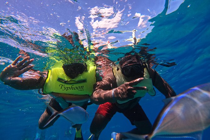 Short Excursion 4-Hour Party Catamaran and Snorkeling - Drinks, music, and the Dominican beer stop