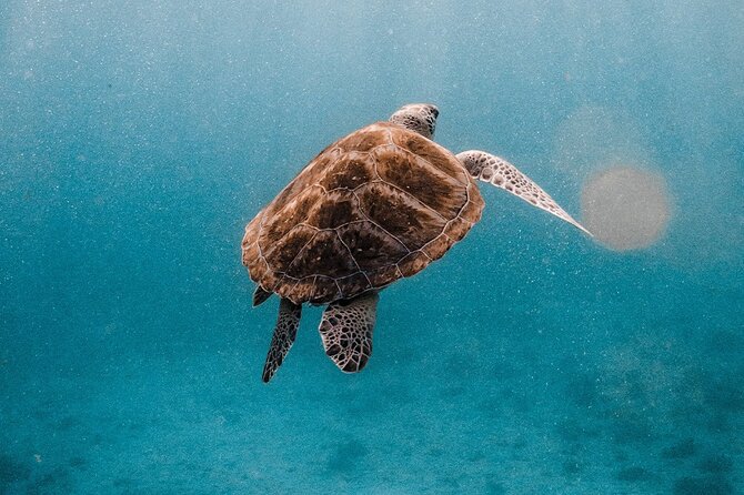 Similan Islands Luxury Catamaran Day Tour (Phuket / Khao Lak) - What the $171.98 price really covers