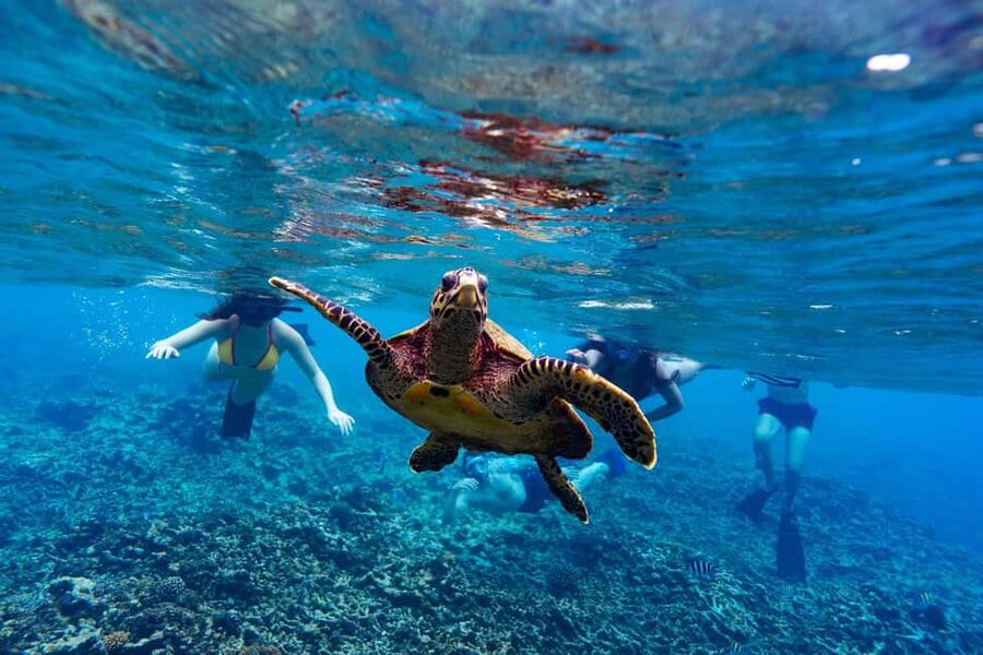 Sister, Coco, and Felicite Island: Seychelles Catamaran Tour - Coco Island: granite rocks and shallow-water appeal