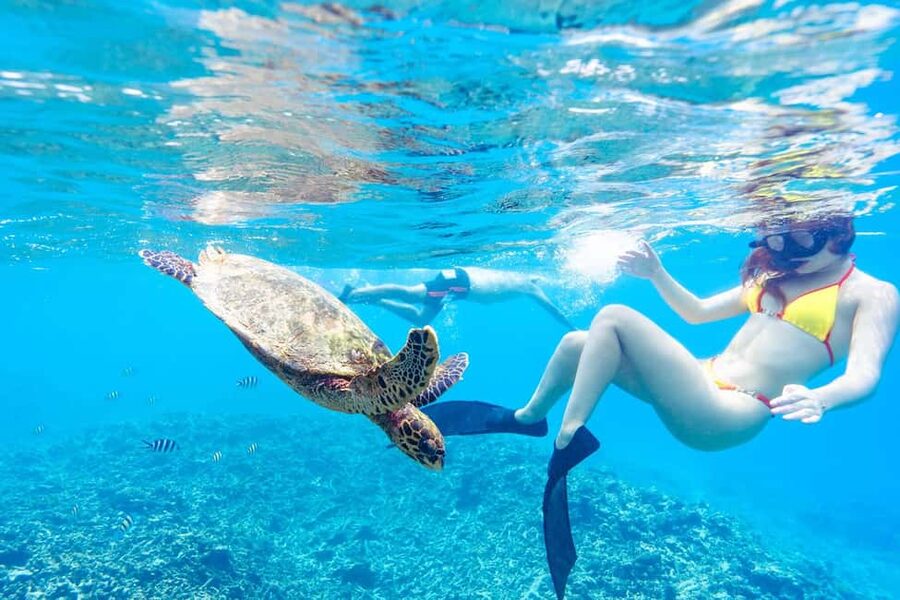 Sister, Coco, and Felicite Island: Seychelles Catamaran Tour - Félicité Island: more forest, less postcard simplicity