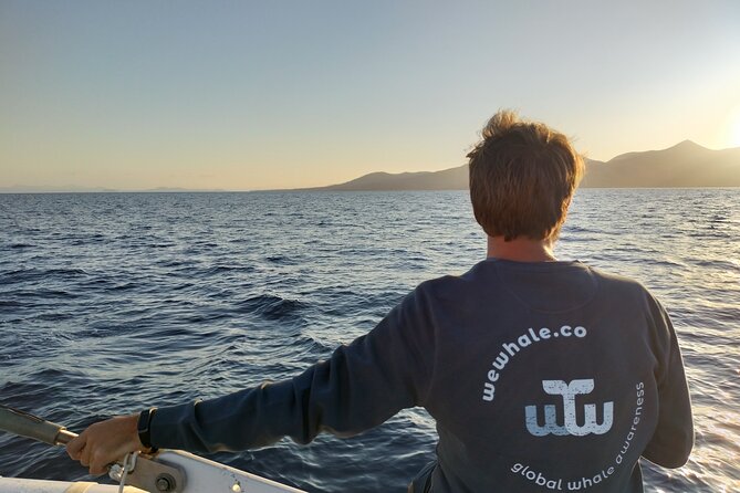 Small Group Dolphin Sunset Tour on Electric Catamaran Lanzarote - Sailing past Playa Quemada and Femés