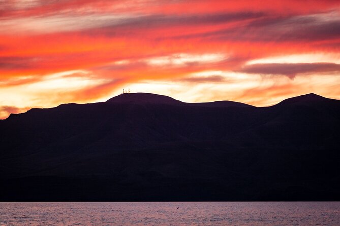 Small Group Dolphin Sunset Tour on Electric Catamaran Lanzarote - Drinks, snacks, and the feel of the deck