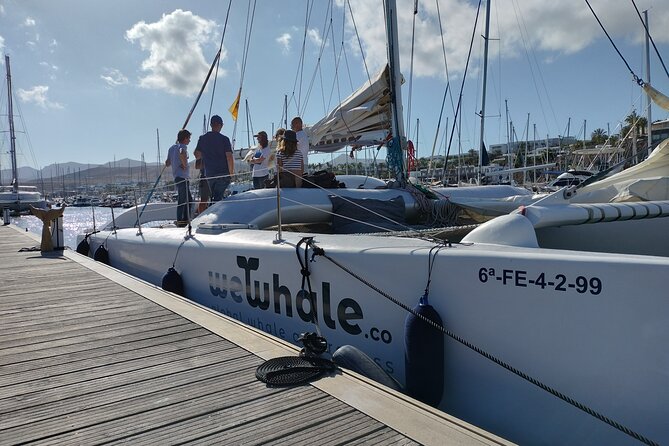 Small Group Dolphin Sunset Tour on Electric Catamaran Lanzarote - Timing, weather, and practical comfort