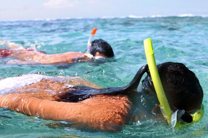 Snorkel & Dolphin Sightseeing Tour Aboard the Footloose - The crew makes a real difference