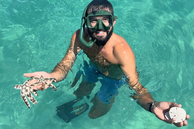 Snorkel & Dolphin Sightseeing Tour Aboard the Footloose - Boat comfort, capacity, and the dock walk