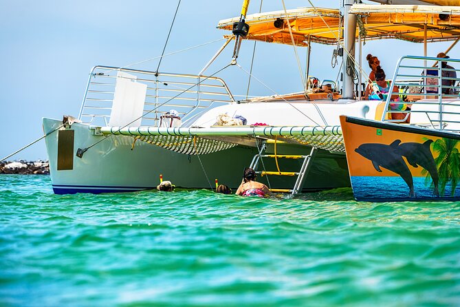 Snorkel & Dolphin Sightseeing Tour Aboard the Footloose - Who will enjoy this tour most