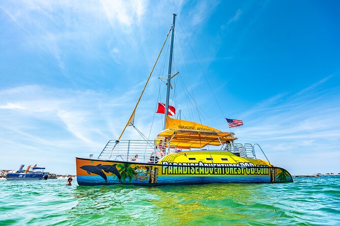 Snorkel & Dolphin Sightseeing Tour Aboard the Footloose - Shell Island: snorkeling, shells, and beach time