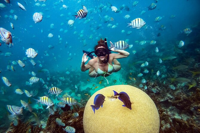 Snorkeling and Swimming on a Caribbean Cruise by Sharky Catamarans - Lunch that matters more than a standard boat snack
