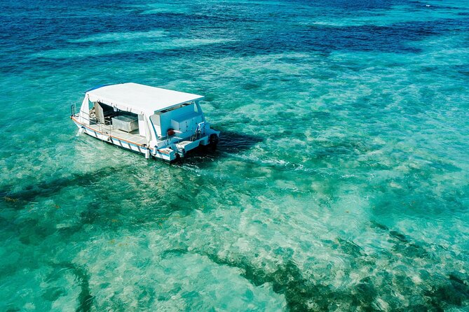 Snorkeling and Swimming on a Caribbean Cruise by Sharky Catamarans - Who will get the most from this Punta Cana tour