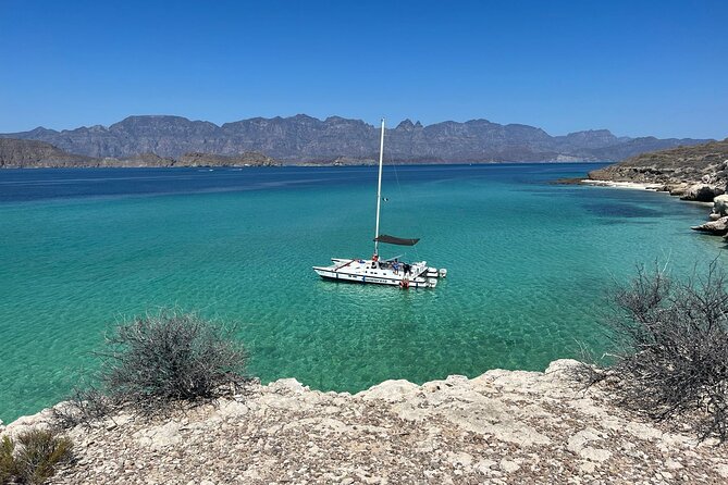 Snorkeling Catamaran Island Cruise - Key points to know before you book