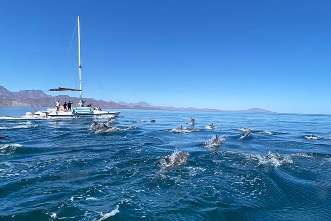 Snorkeling Catamaran Island Cruise - Snorkeling near Loreto’s protected islands