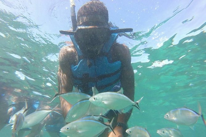 Snorkeling Catamaran Tour & Parasailing - Key points at a glance