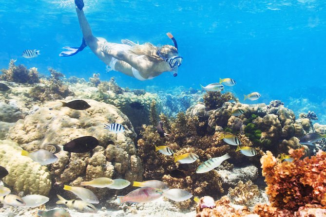 Snuba Snorkelking Parasailing and Catamaran Pack - Key points before you book