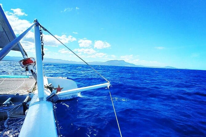 Sosua Catamaran Excursion - Two reef stops with a gentle pace