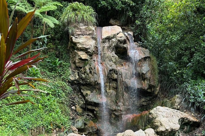 Soufriere Catamaran Excursion & Sapphire Falls Hike - A full St. Lucia day from Rodney Bay to Soufriere
