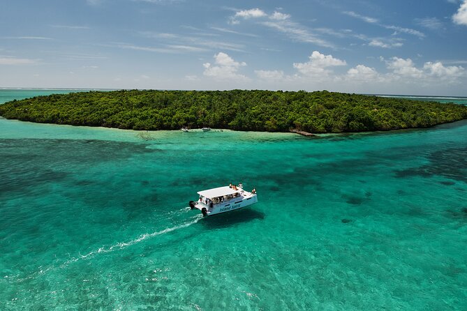 SouthEast Lagoon Discovery on shared basis on a Power Catamaran - Starting at Pointe d’Esny for a full day at sea