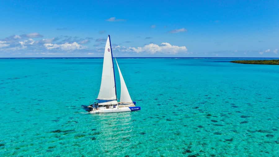 Southeast of Mauritius: Catamaran Cruise w/ BBQ Lunch - Who will enjoy this catamaran day