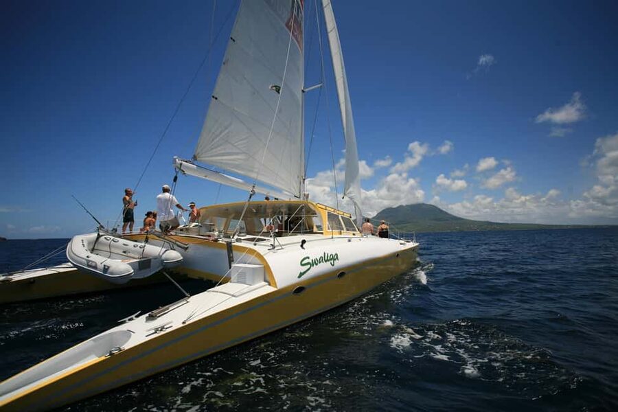 St. Kitts Full-Day Catamaran Cruise to Nevis - The snorkeling stop and what you may see