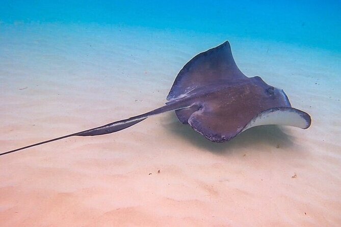 Stingray City Catamaran Sunset Tour - Getting to Safehaven Marina at 4:00 p.m.