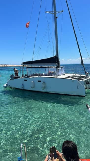 Stintino: full day tour catamaran Asinara Island - A 2:00 PM seafood lunch on the water