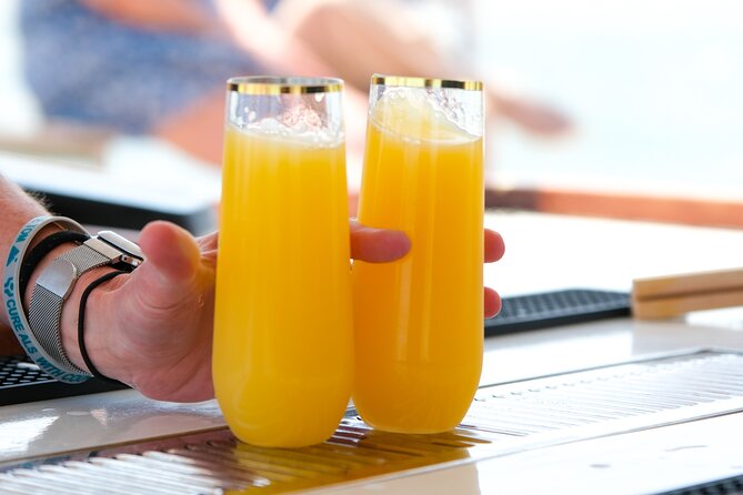 Sunday Mimosa Bar Catamaran Sail with Mini Brunch Bites - Fort Sumter gives the sail its historical weight