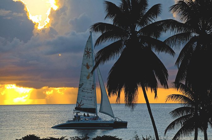Sunset Catamaran and Snorkeling Cruise At Carlisle Bay - Buffet dinner as the sun drops