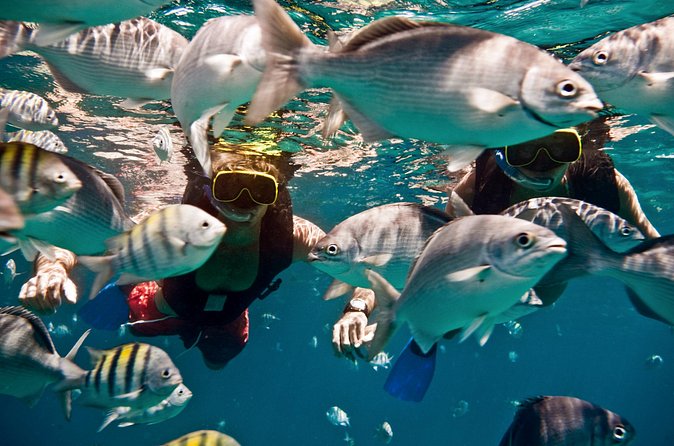 Sunset Catamaran and Snorkeling Cruise At Carlisle Bay - What $124.33 really gets you